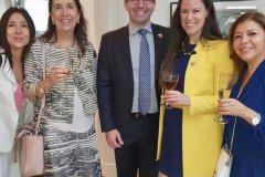 BRASILIENSNATIONELDAG1