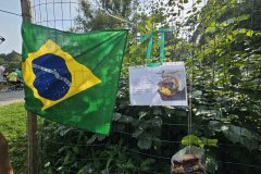 Picknick-i-Hagaparken-20233